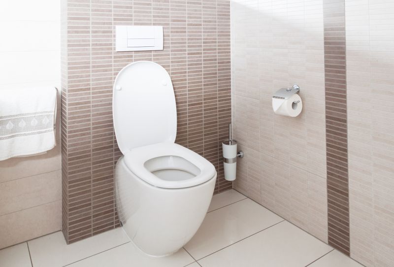 Toilet Installation Service