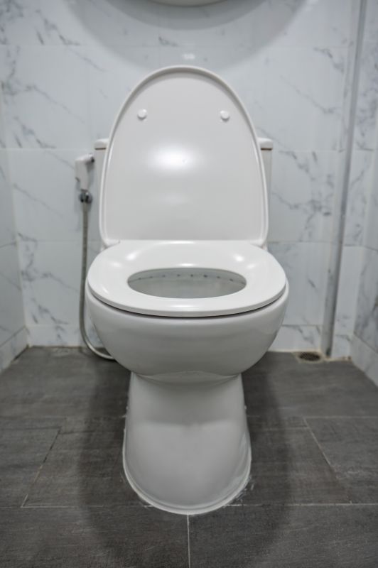 Toilet Repair