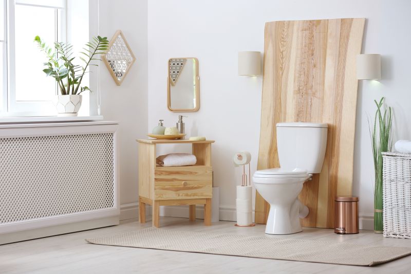 Toilet Repair