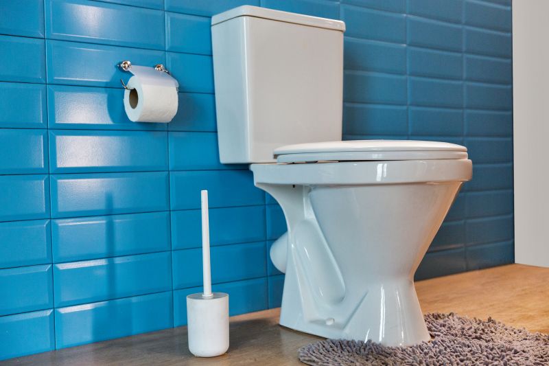 Toilet Repair