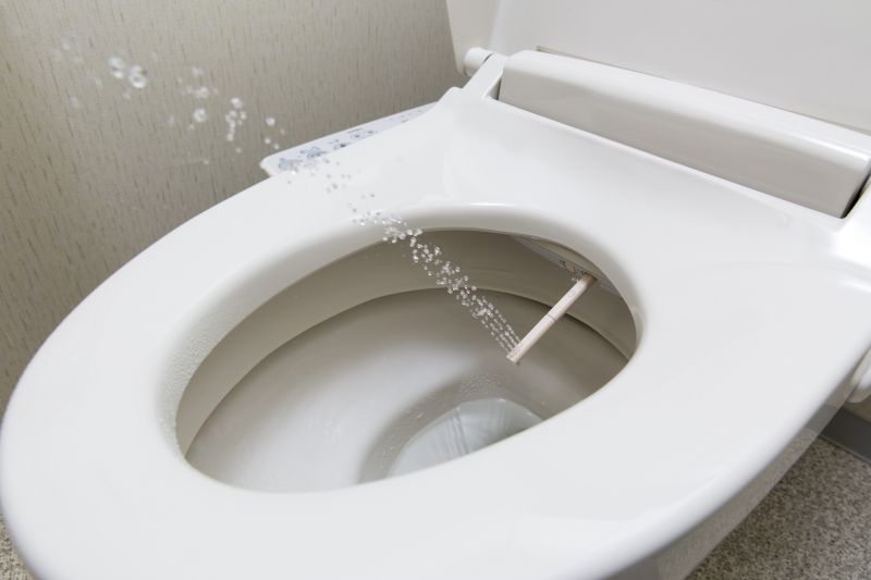 Toilet Repair