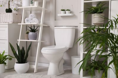 Toilet Repair
