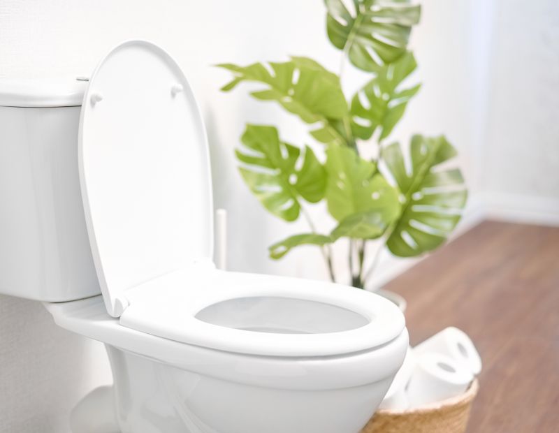 Toilet Repair