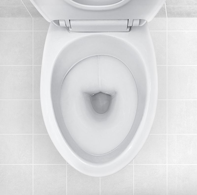 Toilet Replacement
