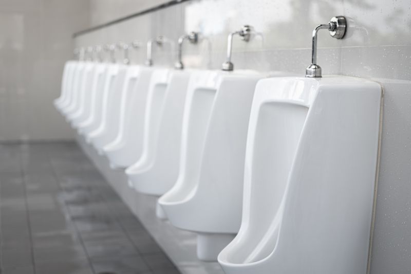 Toilet Replacement